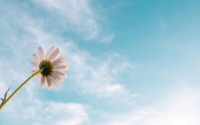 Wishes of Hope